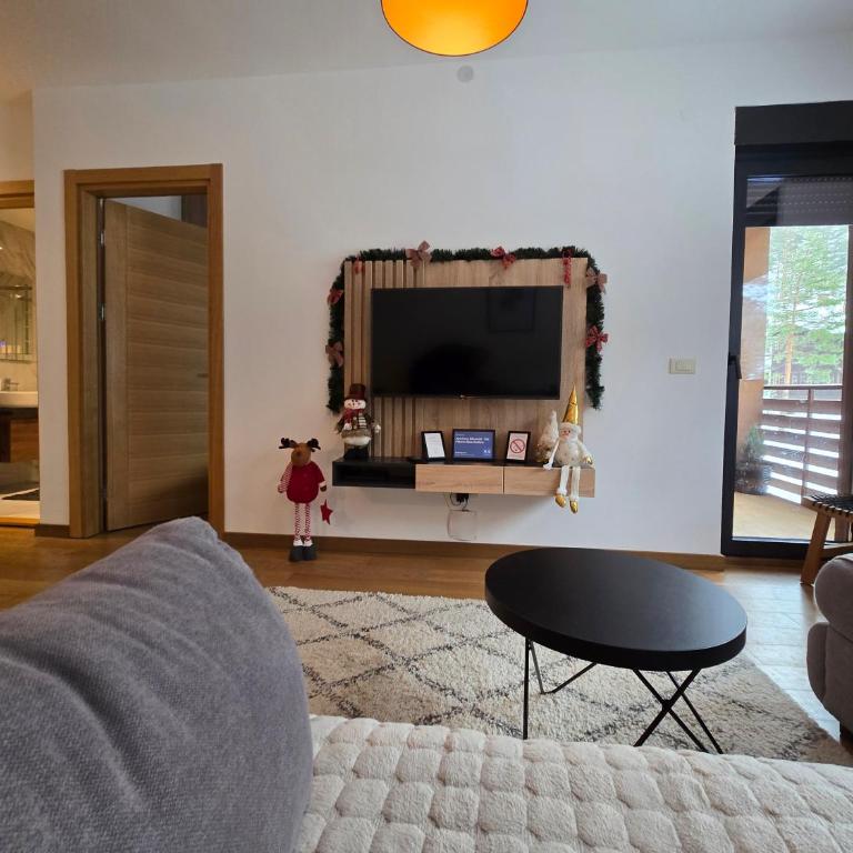 Apartman Sihrovski - Vila Pekovic Blue Zlatibor - Apartman sa 1 Spavaćom Sobom - 25