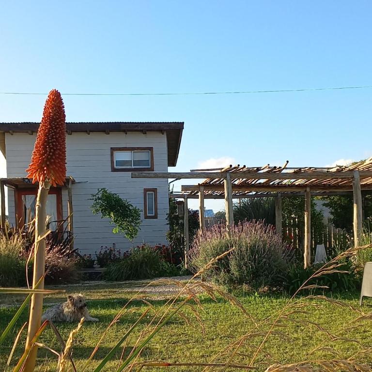 Tiny house Refugio santa isabel - Apartamento de 1 dormitorio - 13