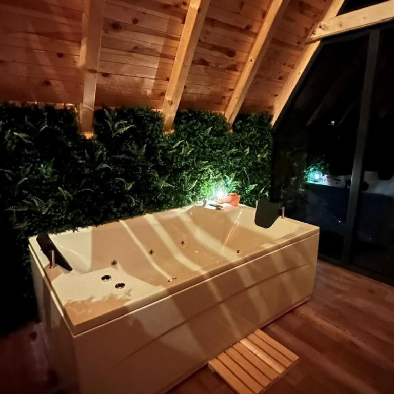 Wellness Borealis - Vila sa Sopstvenim Bazenom - 5