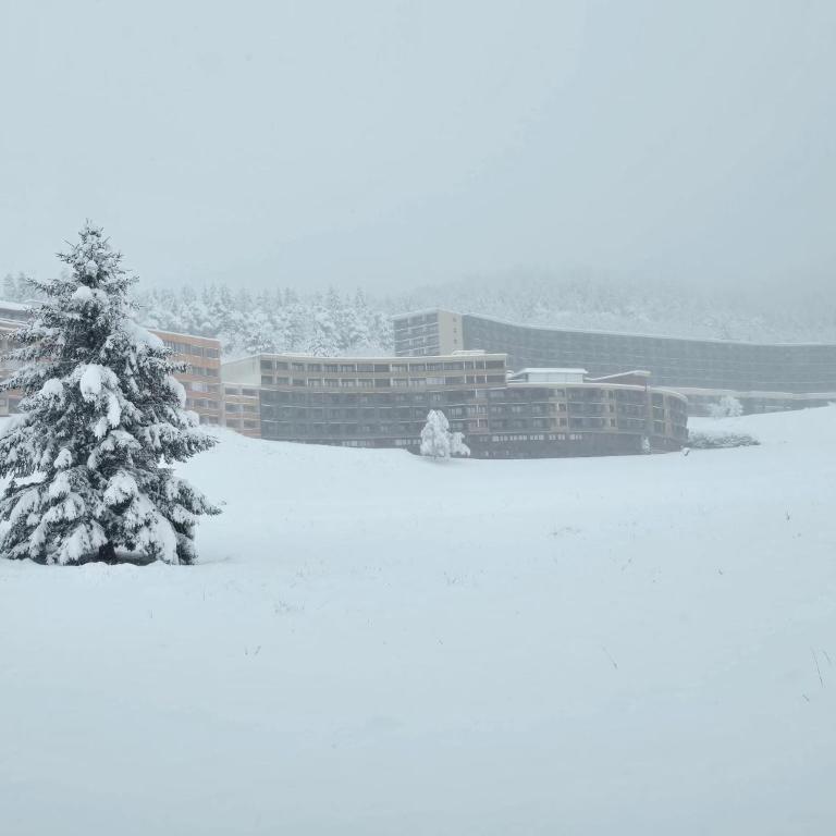 Les Glovettes pieds des pistes - Appartamento con 1 Camera da Letto - 6