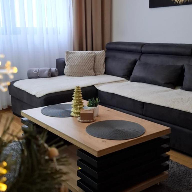 Relax Residence Zlatibor Free Parking Garage - Apartman sa 1 Spavaćom Sobom - 3
