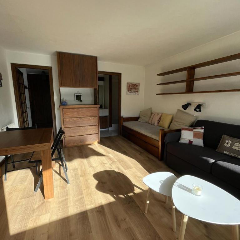 Grand Studio à 300m du pied des pistes, - Apartamento de 1 dormitorio - 2