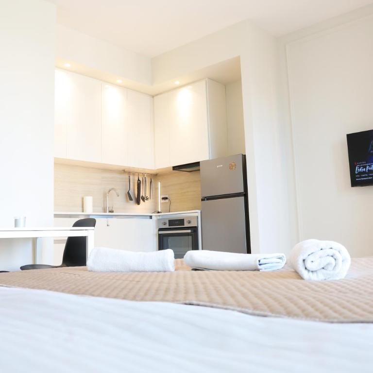 Belgrade Waterfront - Art Apartments - Deluks Dvokrevetni Studio sa Bračnim Krevetom - 4