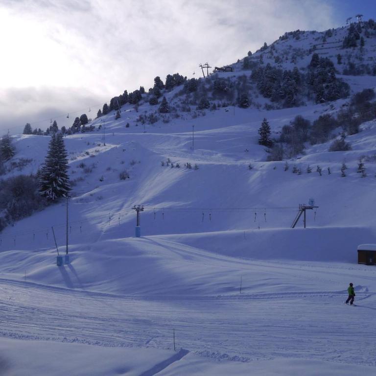 Charmant appartement à Méribel avec balcon et accès direct aux pistes - Appartement 1 Chambre - 3