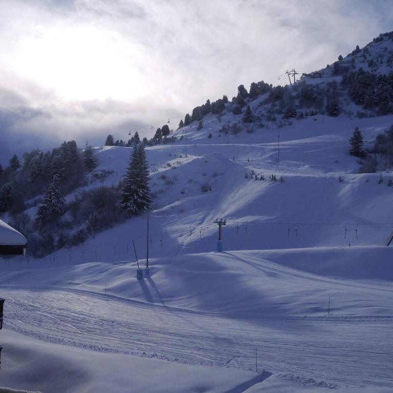 Charmant appartement à Méribel avec balcon et accès direct aux pistes - Appartement 1 Chambre - 5