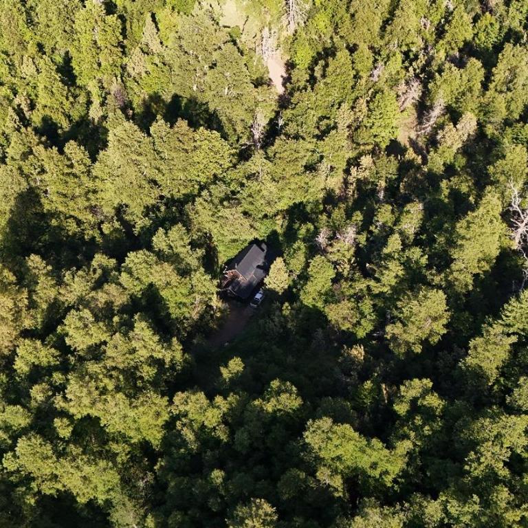 Hermosa cabaña en bosque nativo - Chalet de 2 dormitorios - 2
