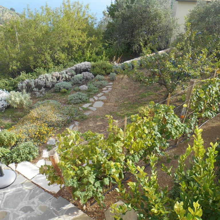 Il Nettare - Double or Twin Room with Sea View - 4