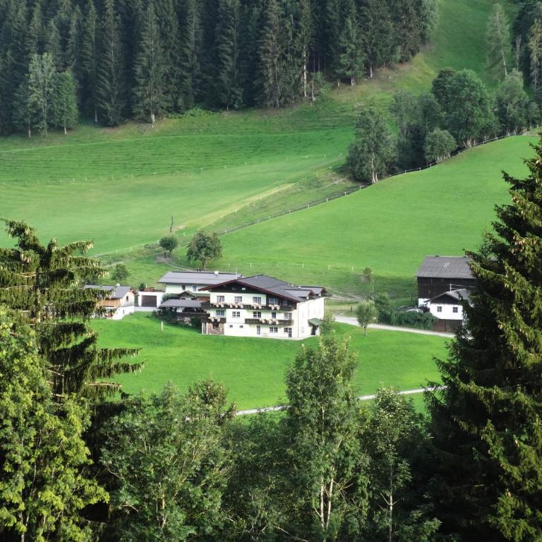 Appartement Greti - Studio-Apartment - 2