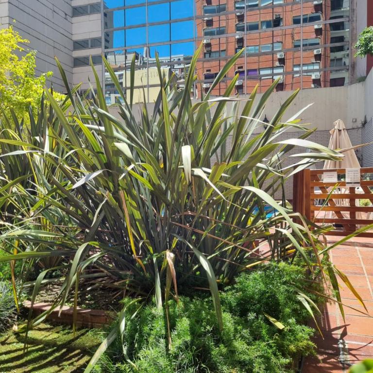 Suipacha Apart 603 - Apartamento Superior con vistas a la ciudad - 3
