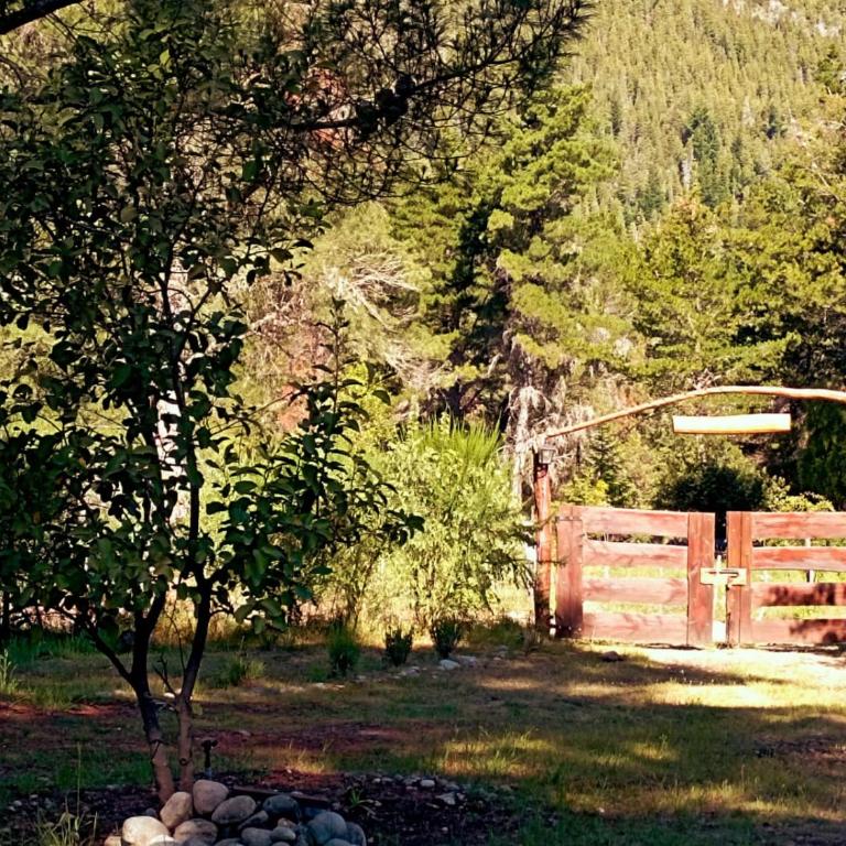 Cabañas monoambiente La Generosa LP - Chalet - 9