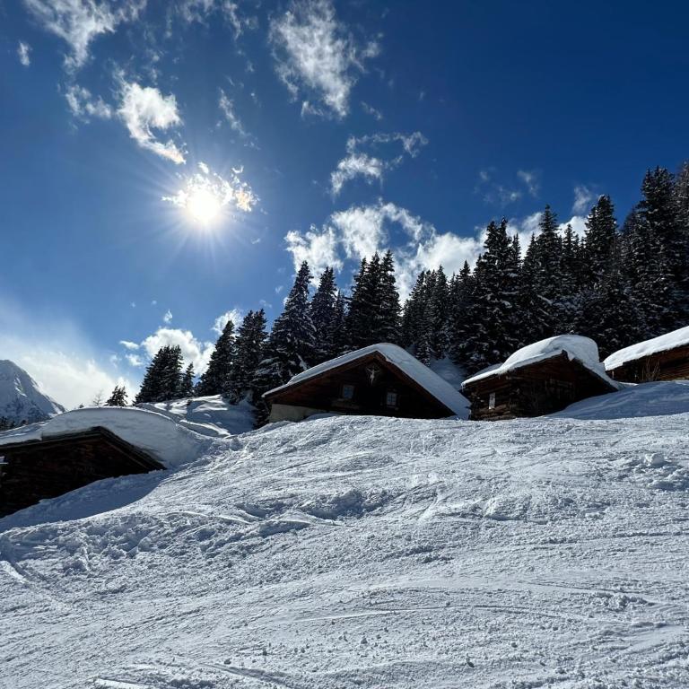Chalet Theresia - Ferienhaus - 42