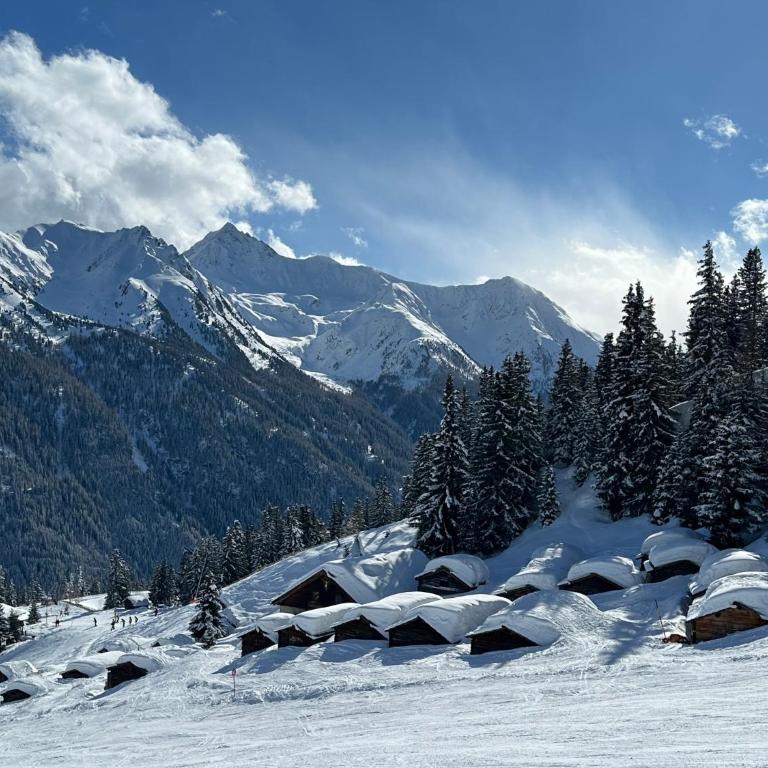 Chalet Theresia - Ferienhaus - 40