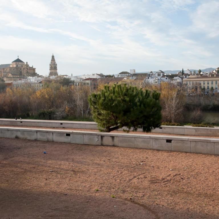 Amparo Cinco - Duplex Apartment - 54