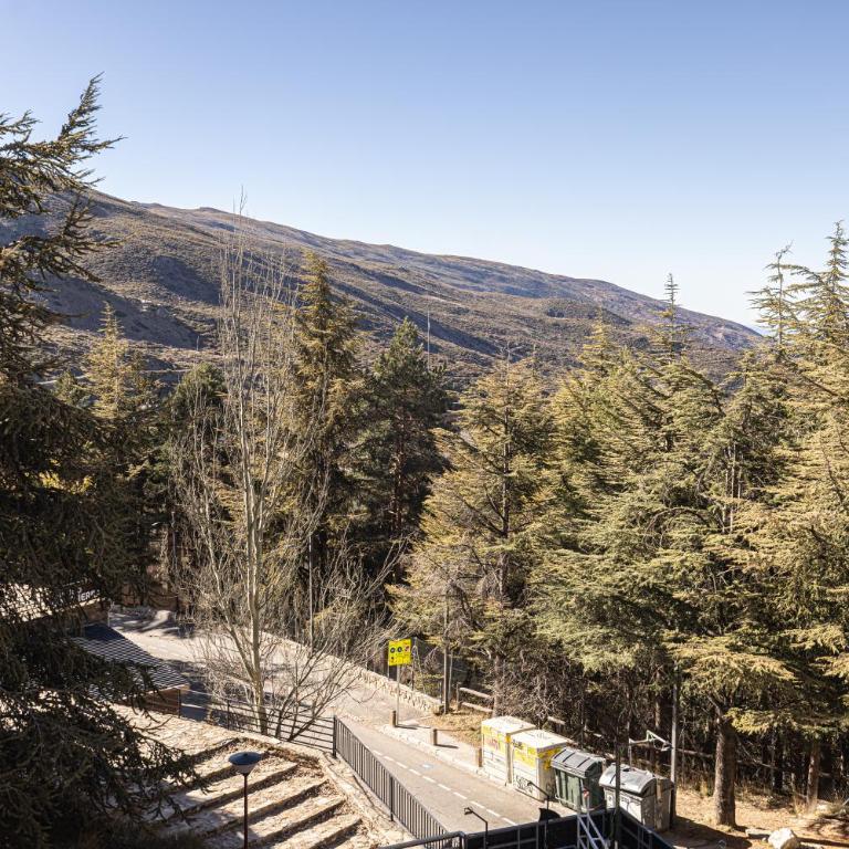 Holidays. Rosebud. 3 dormitorios & parking. 8 personas - Apartamento de 3 dormitorios - 42
