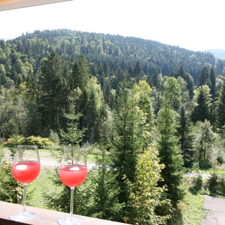 Alpendohle - Apartment - 10