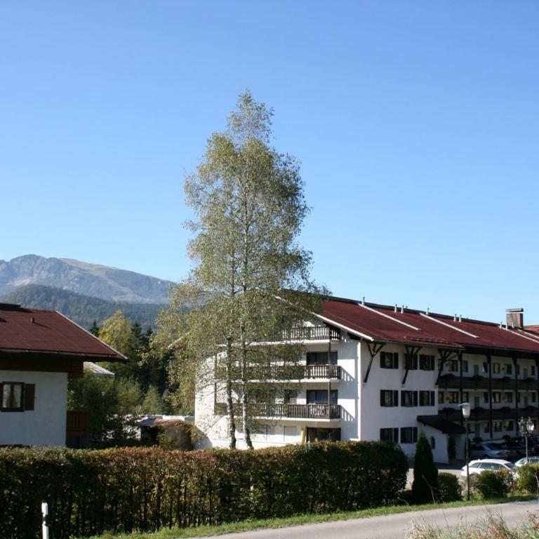 Alpendohle - Apartment - 13