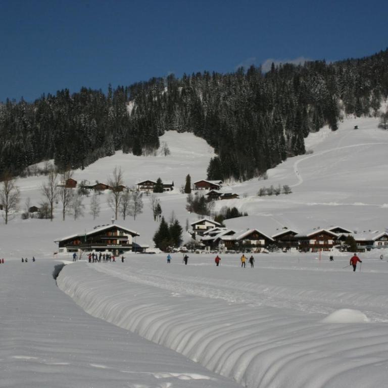 Alpendohle - Apartment - 15