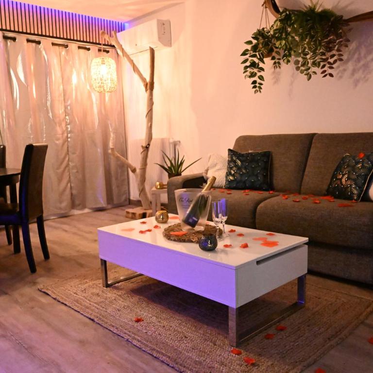 Love Room Luxe Près de la Mer - Apartamento de 1 dormitorio - 11