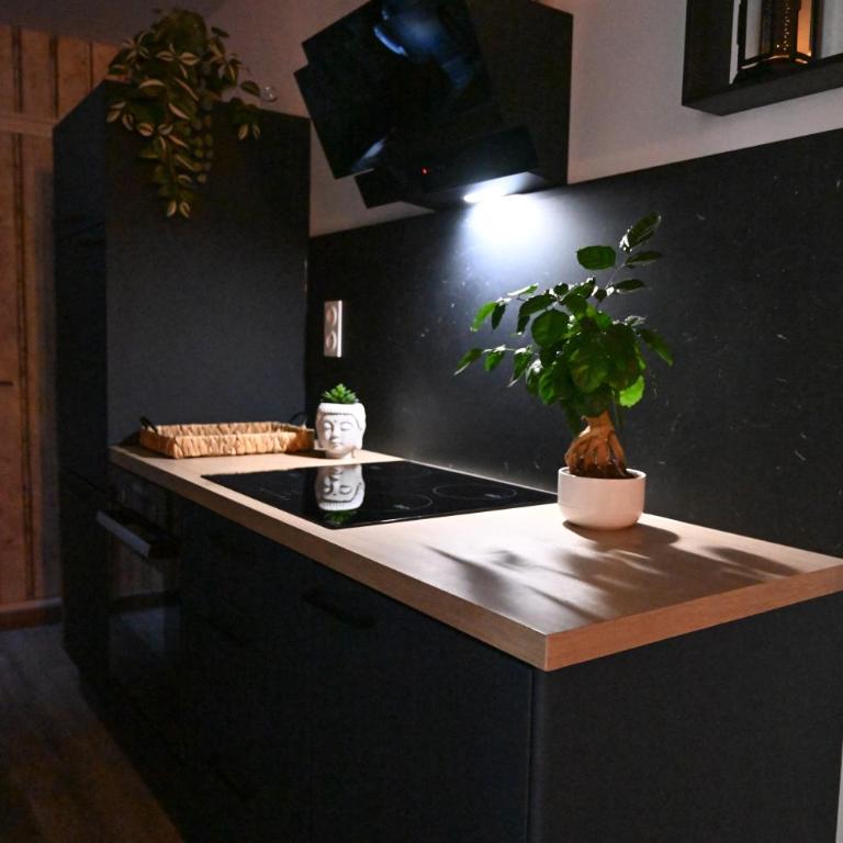 Love Room Luxe Près de la Mer - Apartamento de 1 dormitorio - 50