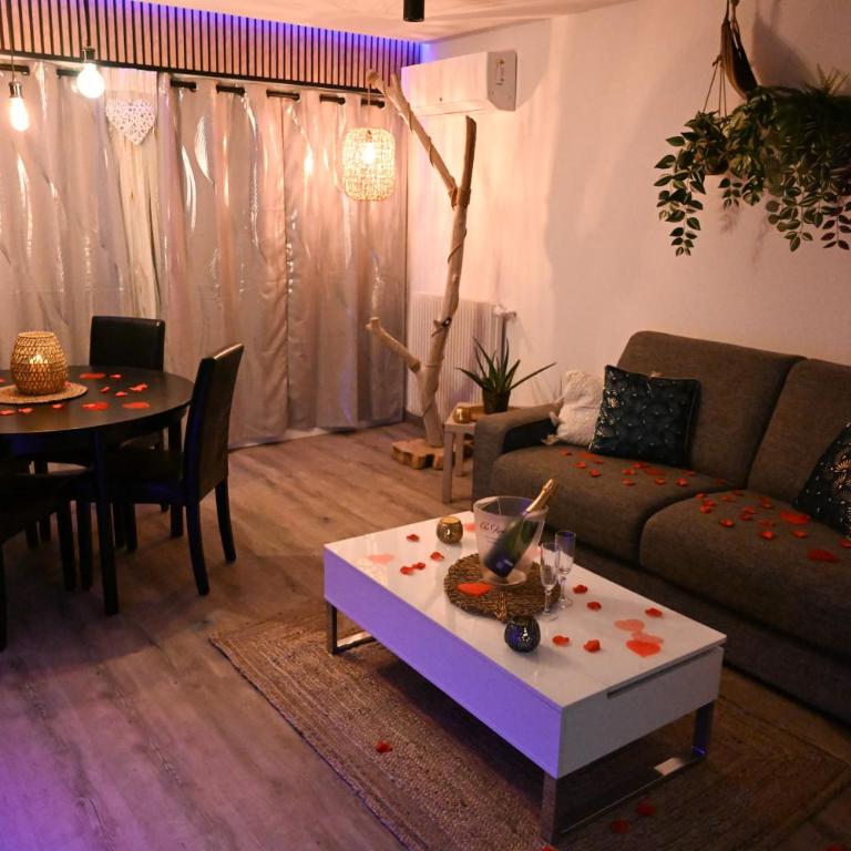Love Room Luxe Près de la Mer - Apartamento de 1 dormitorio - 52