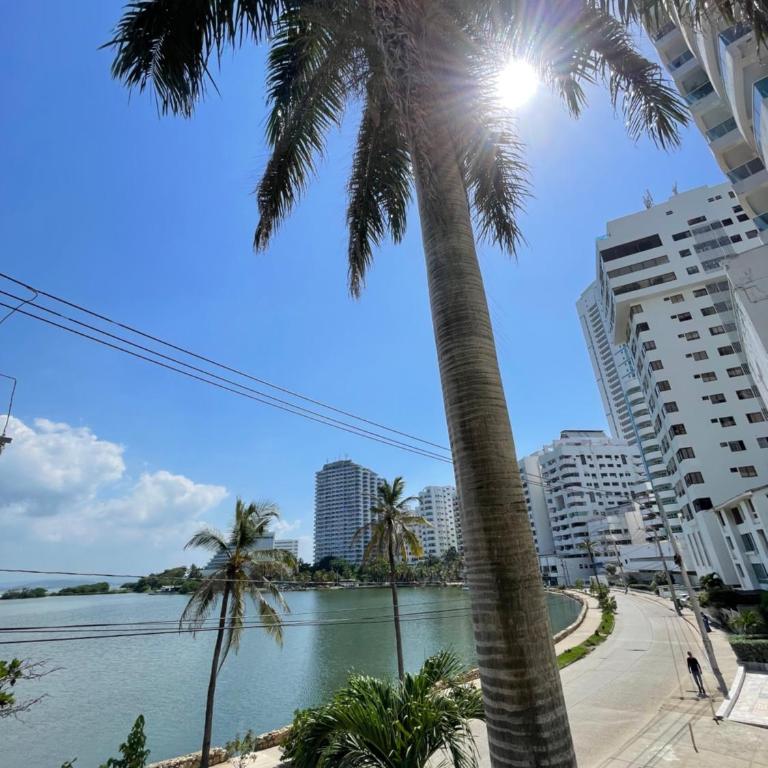 Loft Vista al Laguito - Apartamento de 2 dormitorios - 12