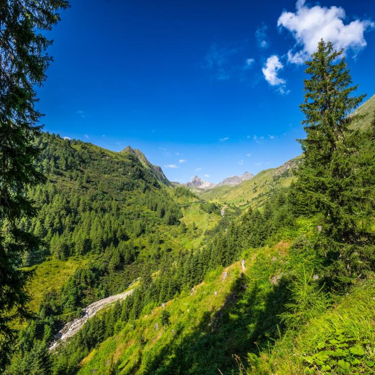 Chalet Theresia - Ferienhaus - 55