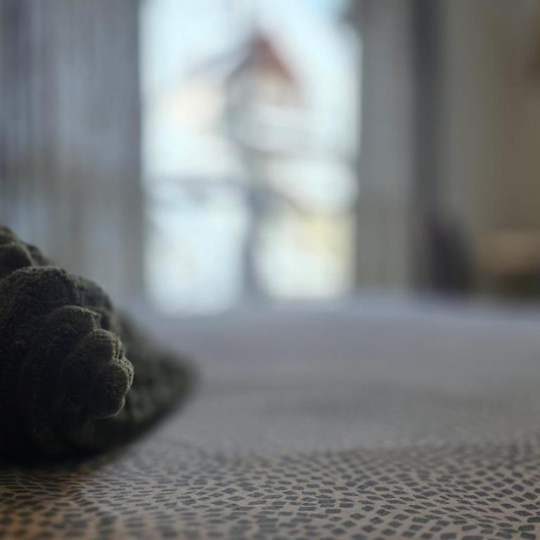 Cosy'PY - Monolocale con Vista Montagna - 6