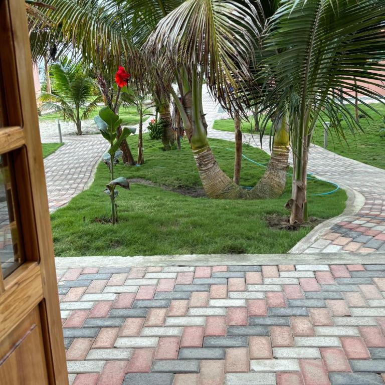 Sirena's Beach and Surf Club - Suite con vistas al mar - 6