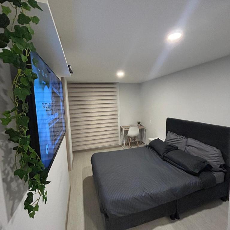 New and modern entire flat in Candelaria Bogotá - Apartamento de 1 dormitorio - 8