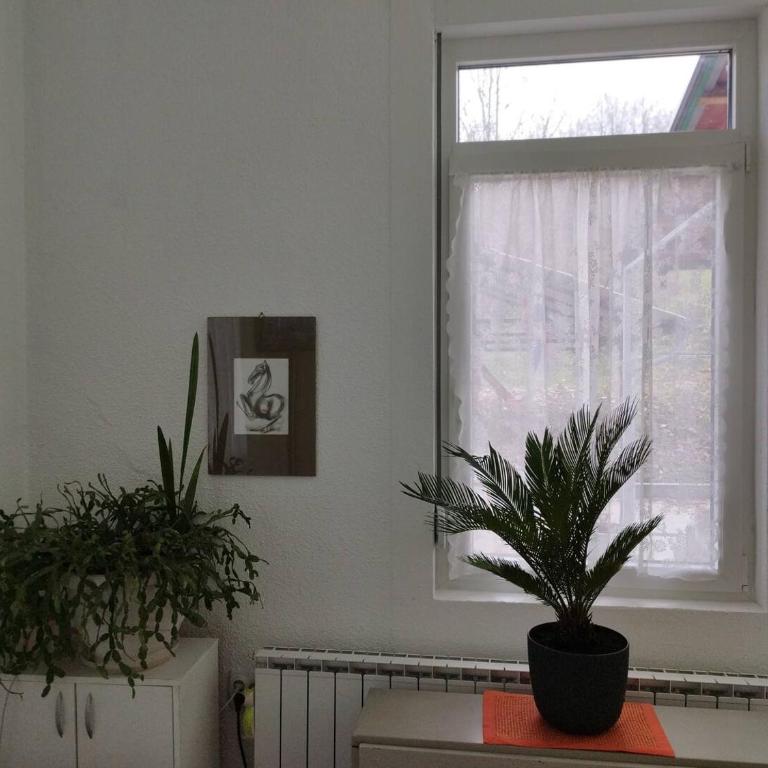 Apartman - kuca za odmor Slatina - Kuća sa 1 Spavaćom Sobom - 7