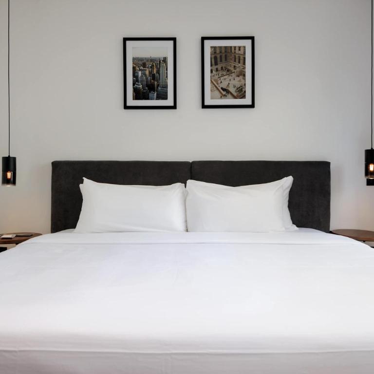 Zacatecas 4 by Wynwood House - Deluxe 1BR with Elegant Balcony in Roma Nte - 18