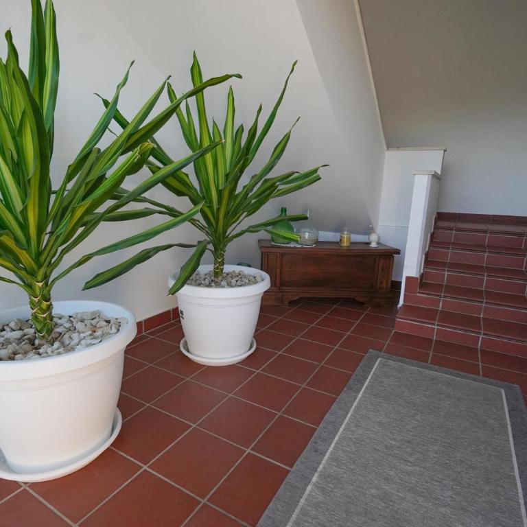 Silvia Casa Vacanze - Monolocale con Divano-Letto - 20