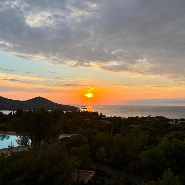 Les Oliviers de l'Esterel - Apartamento de 1 dormitorio - 12
