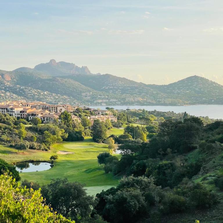 Les Oliviers de l'Esterel - Apartamento de 1 dormitorio - 18