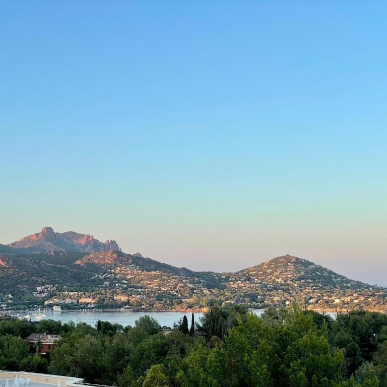 Les Oliviers de l'Esterel - Apartamento de 1 dormitorio - 21