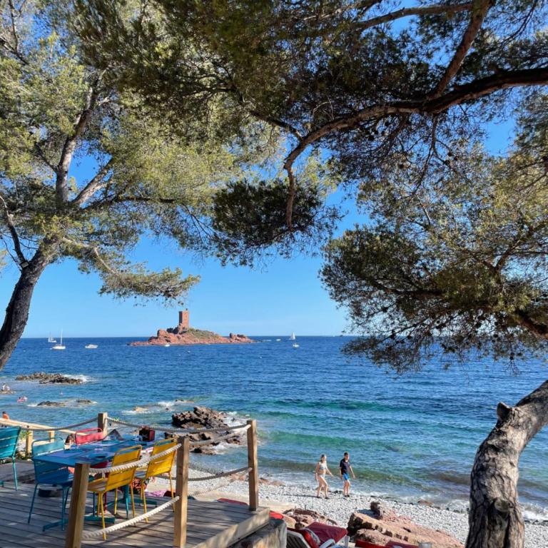 Les Oliviers de l'Esterel - Apartamento de 1 dormitorio - 25