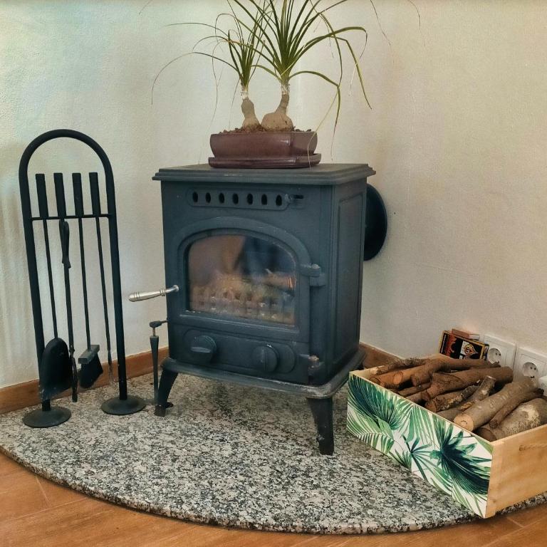 Casita de Estrellas - One-Bedroom House - 11