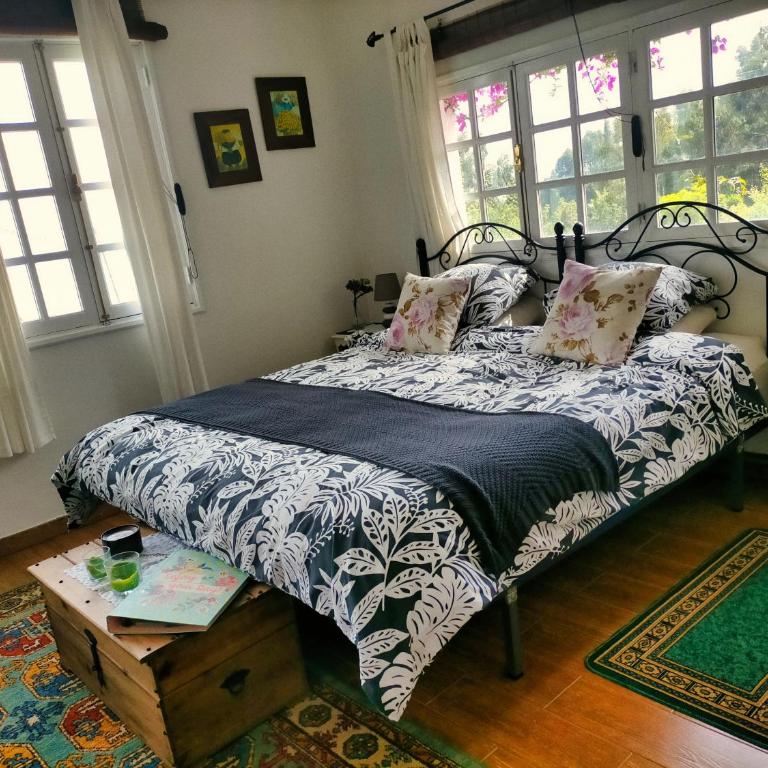 Casita de Estrellas - One-Bedroom House - 14