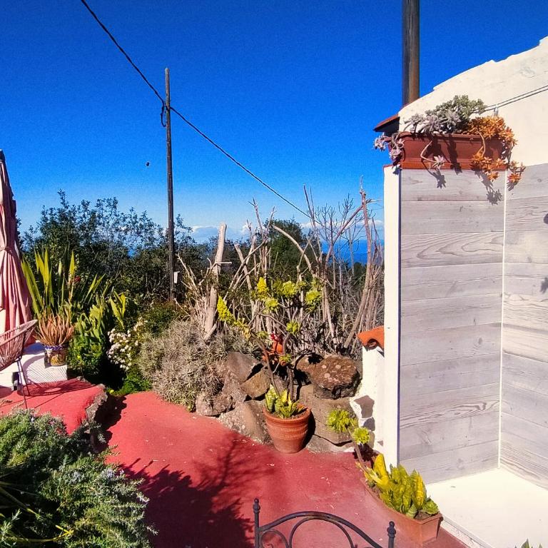 Casita de Estrellas - One-Bedroom House - 15
