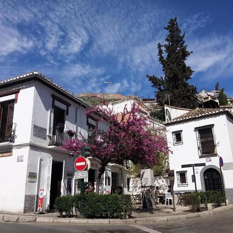 Charming Albaicin Patio Flat Free onsite parking - Two-Bedroom Apartment - 33