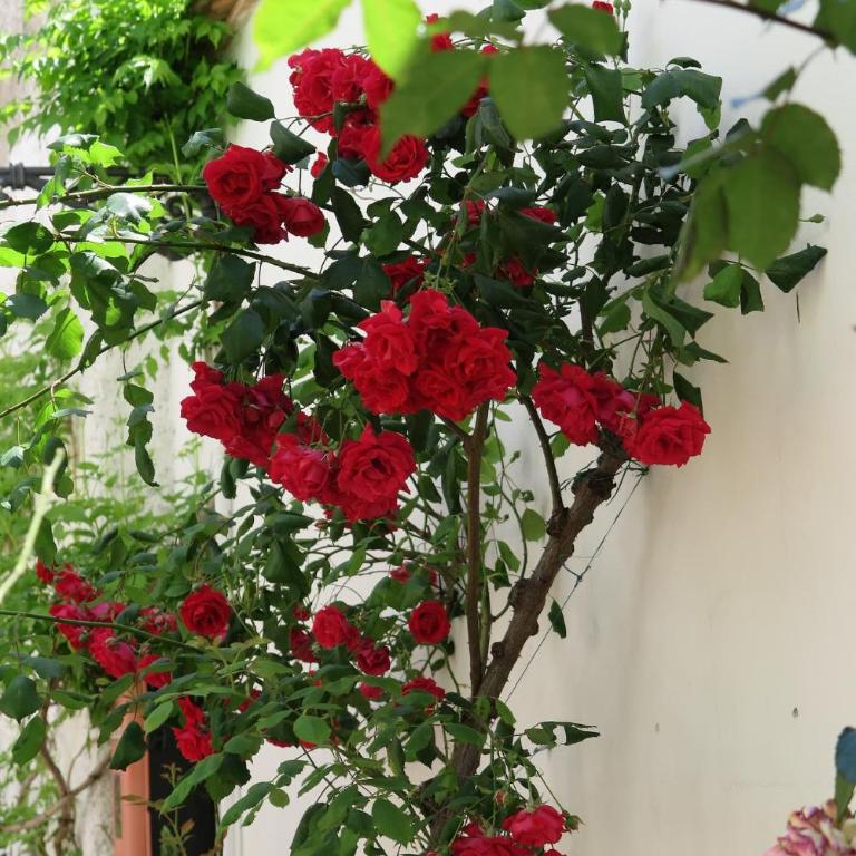 Charming Albaicin Patio Flat Free onsite parking - Two-Bedroom Apartment - 30