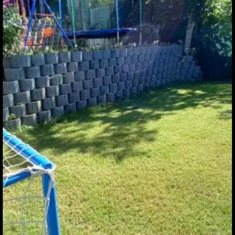 Bacevine - One-Bedroom Apartment - 6