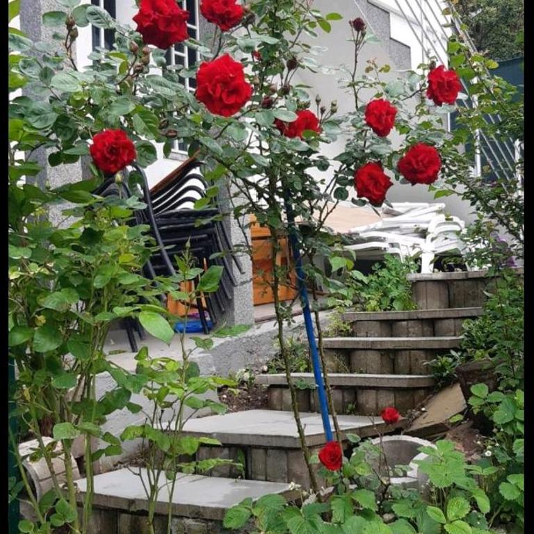 Bacevine - One-Bedroom Apartment - 14