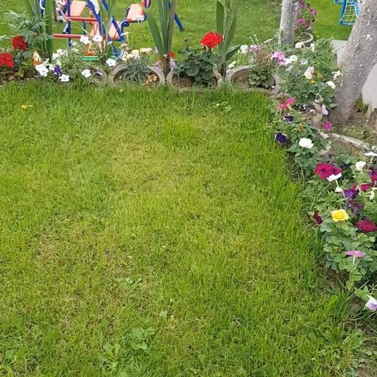 Bacevine - One-Bedroom Apartment - 21