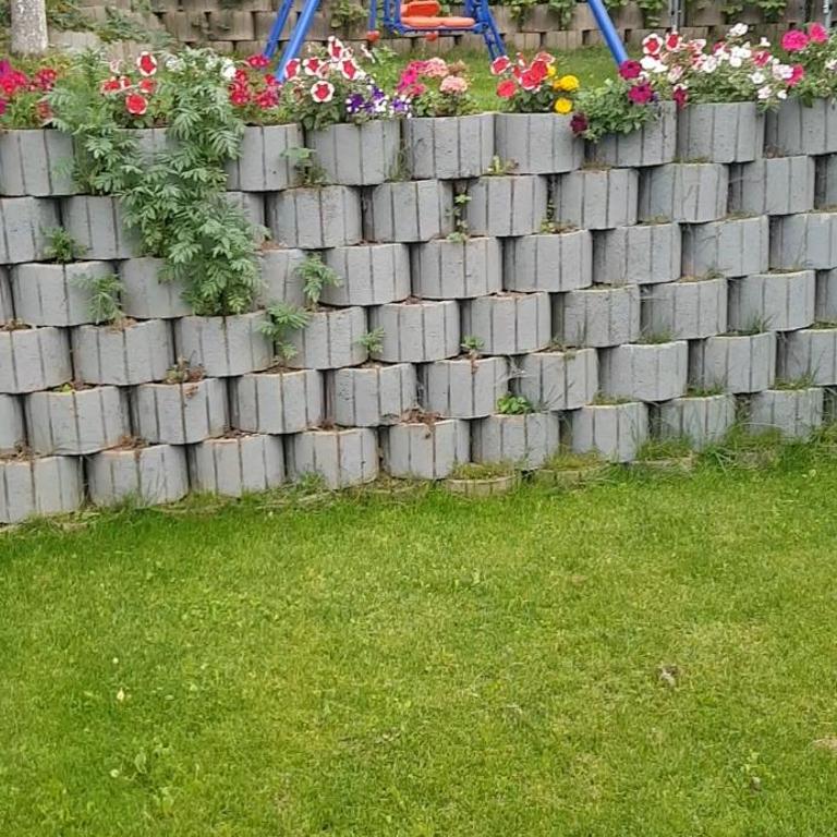 Bacevine - One-Bedroom Apartment - 35