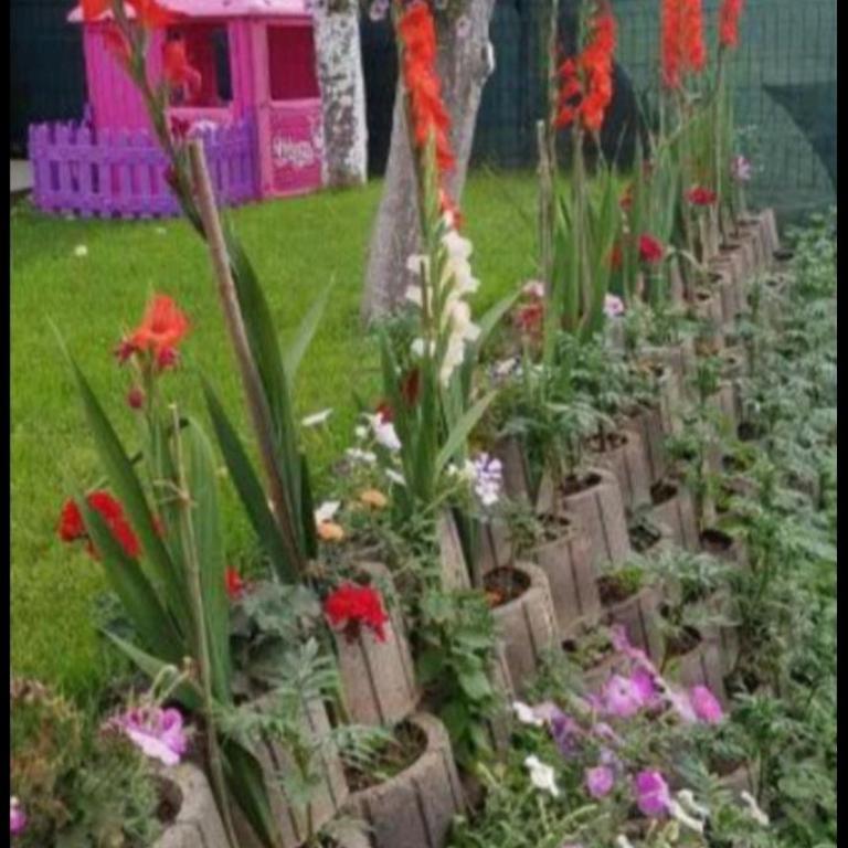 Bacevine - One-Bedroom Apartment - 50