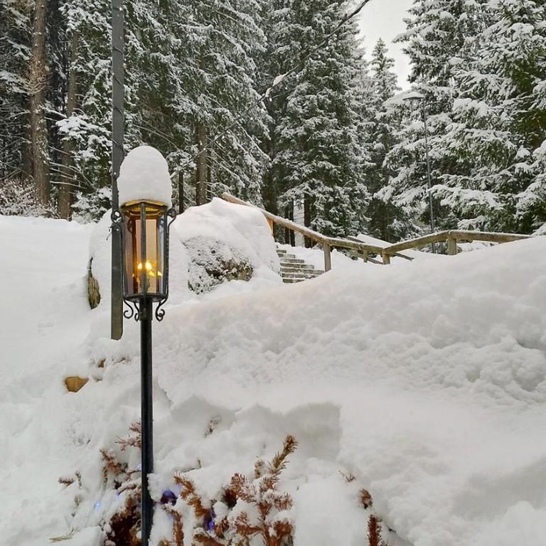 Ale 1206, Marilleva 1400 accesso diretto alle piste - Apartment mit 2 Schlafzimmern - 52