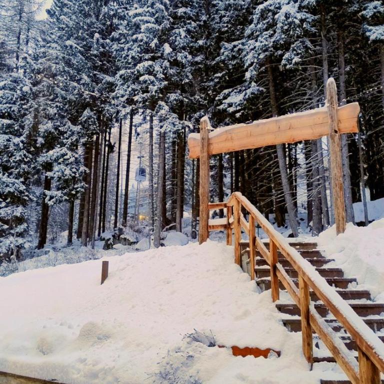 Ale 1206, Marilleva 1400 accesso diretto alle piste - Apartment mit 2 Schlafzimmern - 53