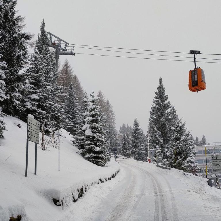 Ale 1206, Marilleva 1400 accesso diretto alle piste - Apartment mit 2 Schlafzimmern - 54