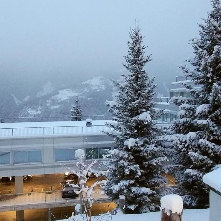 Ale 1206, Marilleva 1400 accesso diretto alle piste - Apartment mit 2 Schlafzimmern - 47